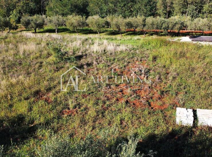 Buje, okolica - Građevinsko zemljište 544 m² u idiličnom istarskom krajolik — fotografija 5