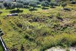 Buje, okolica - Građevinsko zemljište 544 m² u idiličnom istarskom krajolik — fotografija 6