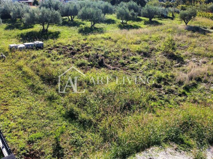 Buje, okolica - Građevinsko zemljište 544 m² u idiličnom istarskom krajolik — fotografija 6