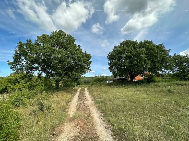 Prodajemo kuću sa velikom okućnicom pod maslinama na mirnoj lokaciji. 
Ob... — fotografija 3