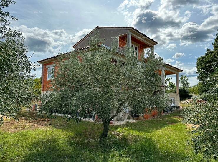 Prodajemo kuću sa velikom okućnicom pod maslinama na mirnoj lokaciji. 
Ob... — fotografija 6