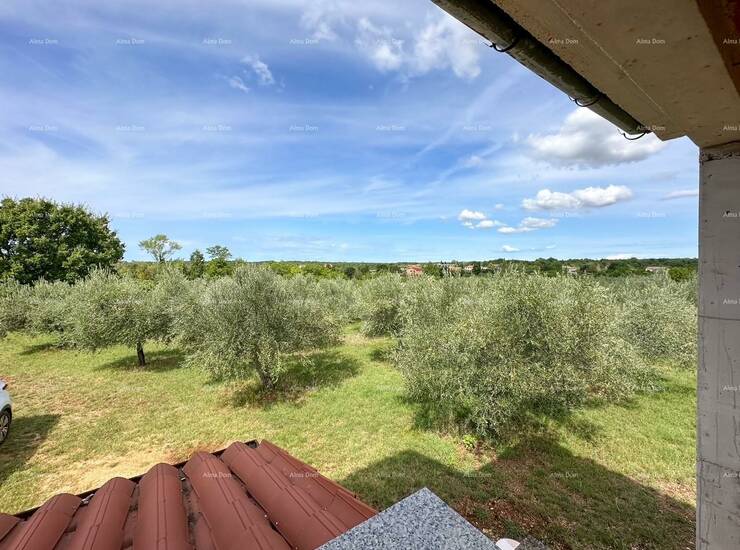 Prodajemo kuću sa velikom okućnicom pod maslinama na mirnoj lokaciji. 
Ob... — fotografija 7