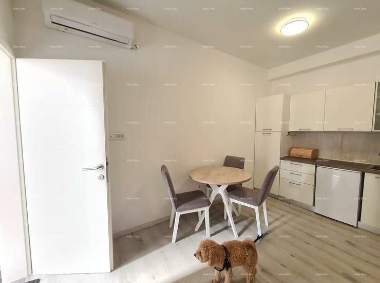 Prodaje se stan površine 55 m² u Puli, smješten u prizemlju manje stambe...