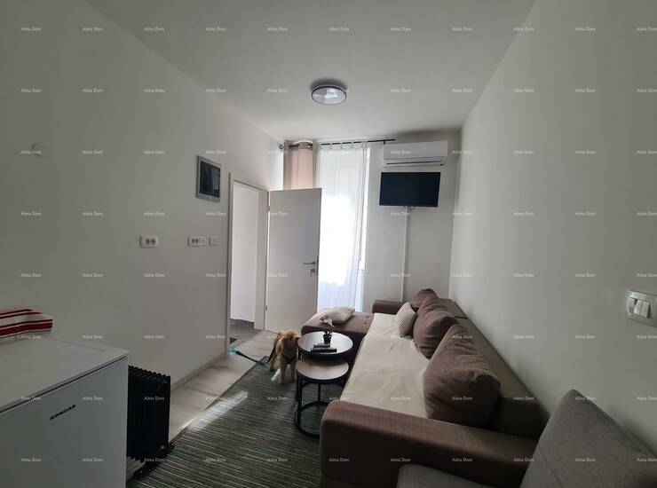 Prodaje se stan površine 55 m² u Puli, smješten u prizemlju manje stambe... — fotografija 7
