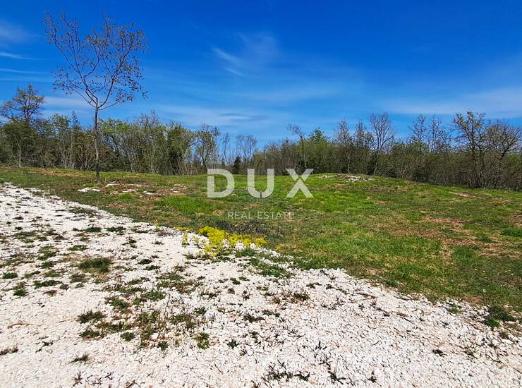 Istra, Šegotići, građevinsko zemljište, 632 m2, pristupni put