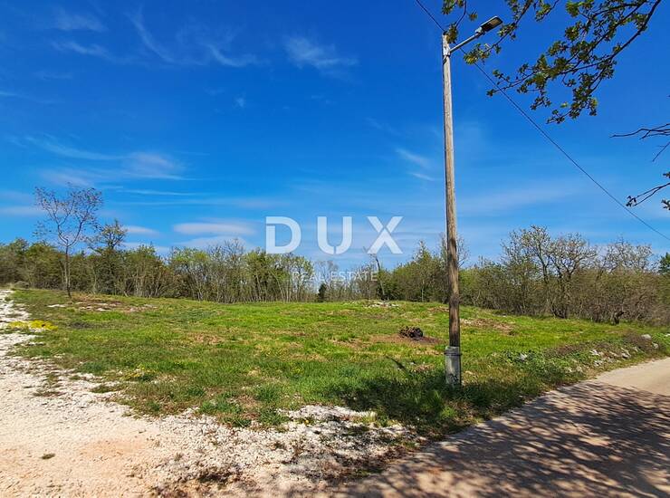 Istra, Šegotići, građevinsko zemljište, 632 m2, pristupni put — fotografija 3