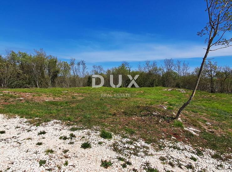 Istra, Šegotići, građevinsko zemljište, 632 m2, pristupni put — fotografija 6