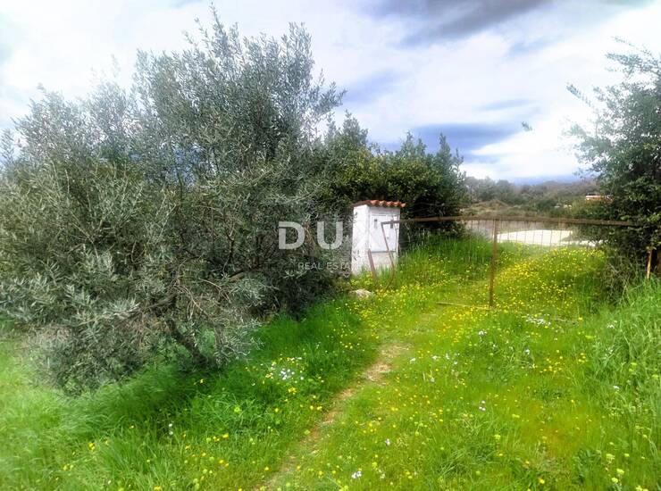 Istra, Pula, građevinski projekt, 3.353 m², M zona — fotografija 4