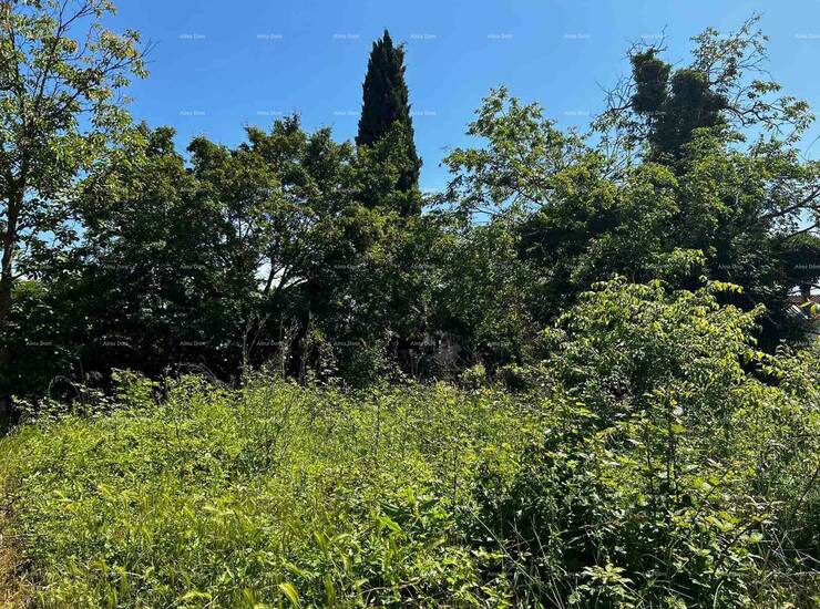 Prodaje se kuća , staja i zemljište, blizina Barbana.
Kuća se sastoji od... — fotografija 4