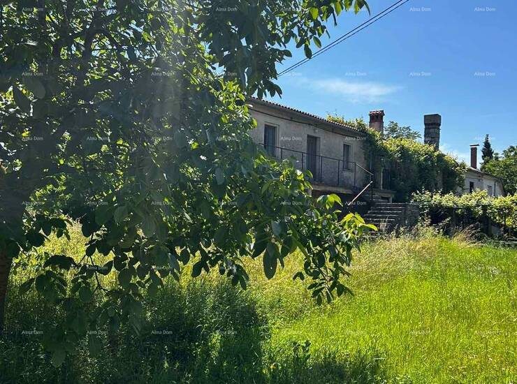 Prodaje se kuća , staja i zemljište, blizina Barbana.
Kuća se sastoji od... — fotografija 7