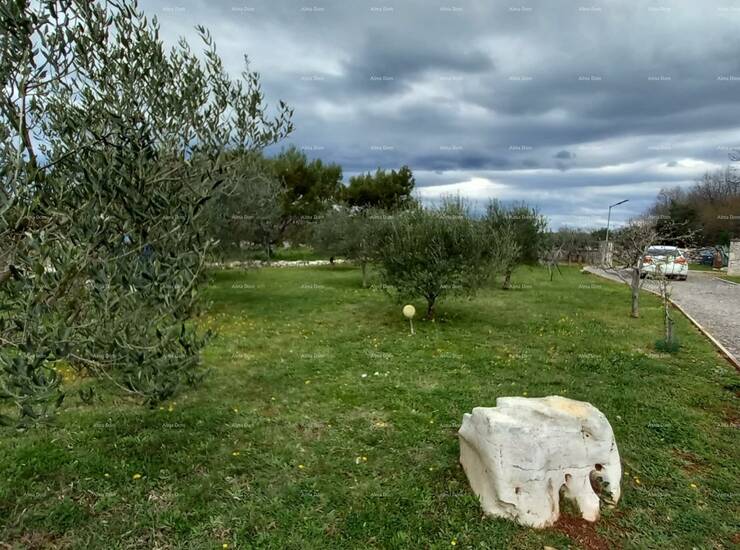 SAMOSTOJEĆA KUĆA S POMOĆNIM OBJEKTOM I PROSTRANOM OKUĆNICOM U ZAPADNOJ ... — fotografija 6
