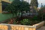 U ponudi je kuća prizemnica koja ima 100 m2 stambenog prostora, ljetnu kuh... — fotografija 2