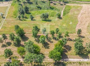 Zemljiste, Poreč 4.923m² - 445.000 € | SveHrNekretnine