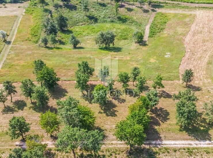Poreč, okolica, 4 zemljišta za izgradnju kuća!