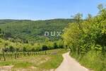 Motovun, poljoprivredno zemljište, 11725 m2