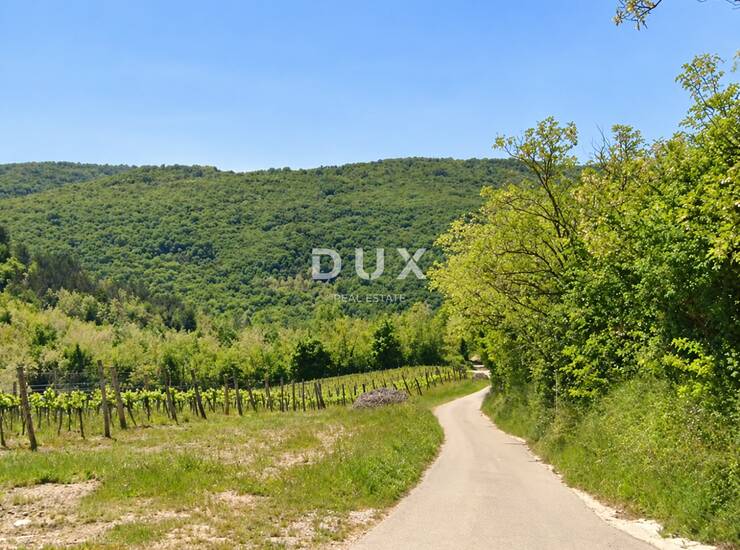 Motovun, poljoprivredno zemljište, 11725 m2