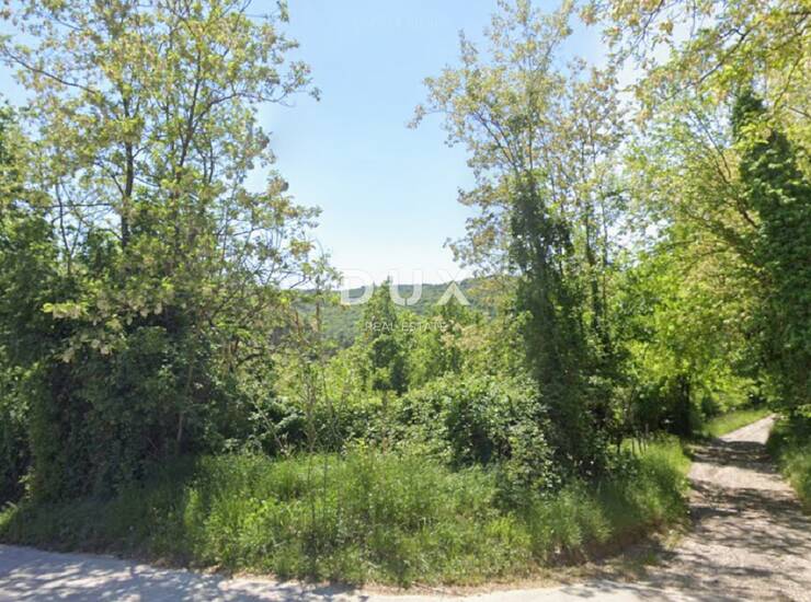 Motovun, poljoprivredno zemljište, 11725 m2 — fotografija 2