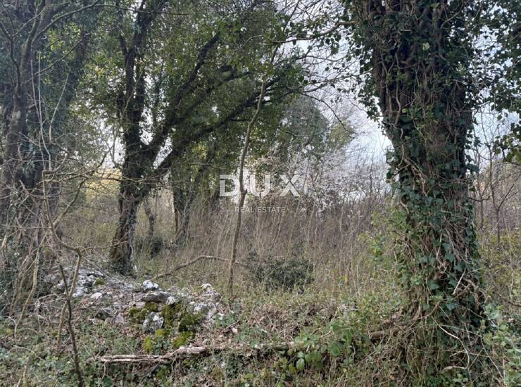 Labin, poljoprivredno zemljište, 17520 m2 — fotografija 2