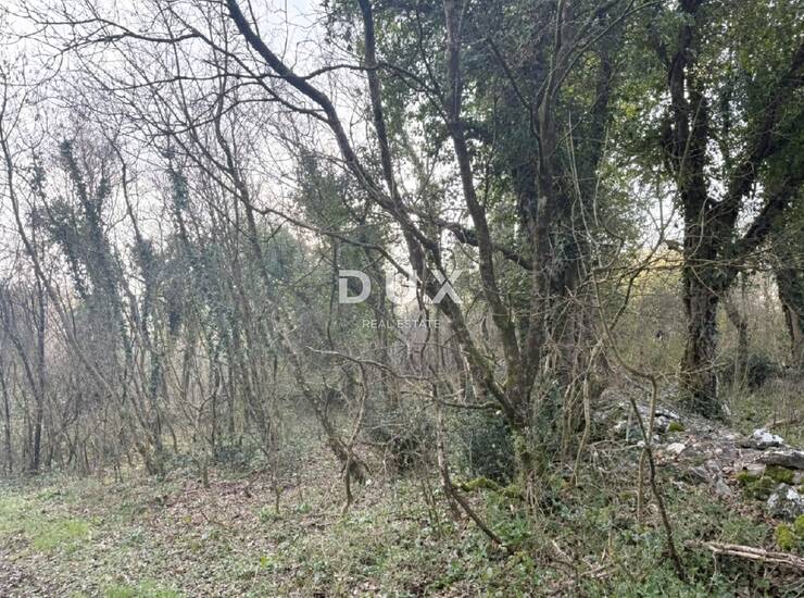 Labin, poljoprivredno zemljište, 17520 m2 — fotografija 3