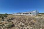 Šibenik, Martinska, poljoprivredno zemljište, 14.000 m²