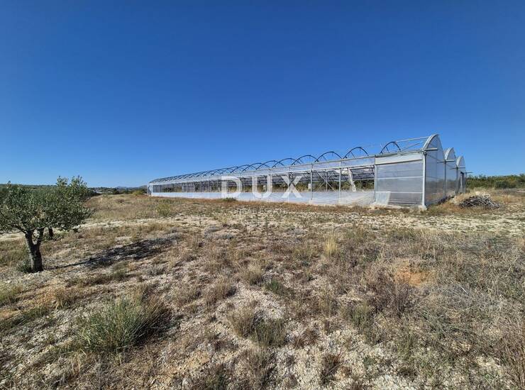Šibenik, Martinska, poljoprivredno zemljište, 14.000 m²