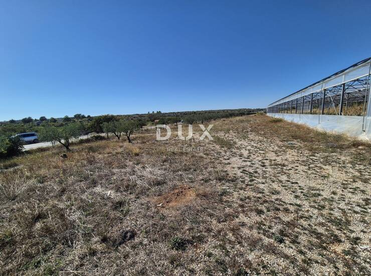 Šibenik, Martinska, poljoprivredno zemljište, 14.000 m² — fotografija 4