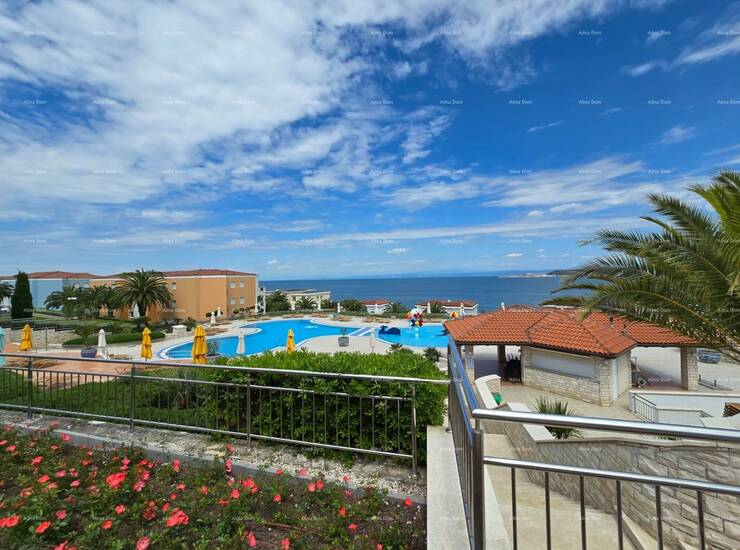 UMAG. Rezidencija Skiper, neposredna blizina novog
Petram Resort & Residenc... — fotografija 7
