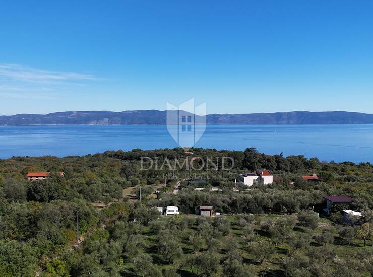 Labin, Rabac, poljoprivredno zemljište, maslinik sa ucrtanim objektom — fotografija 2