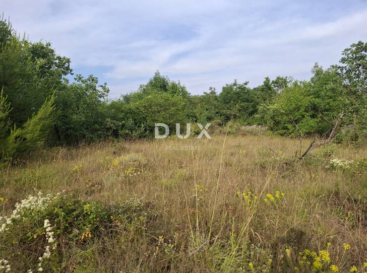 Istra, Juršići, poljoprivredno zemljište, 29.179 m²