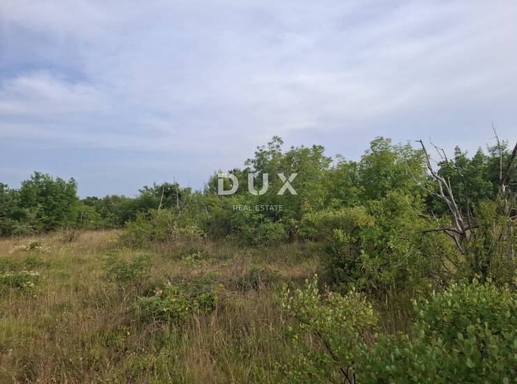 Istra, Juršići, poljoprivredno zemljište, 29.179 m² — fotografija 2