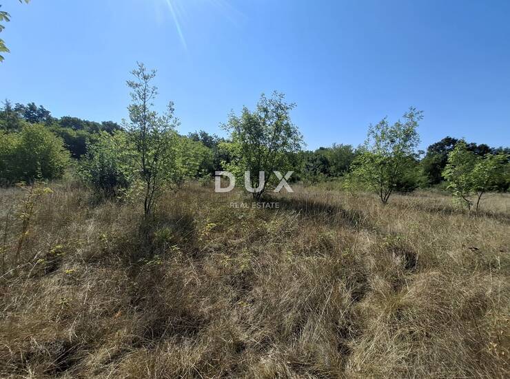 Istra, Juršići, poljoprivredno zemljište, 29.179 m² — fotografija 4