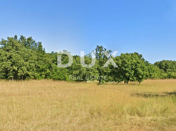 Istra, Barban, građevinsko zemljište, 5.380 m²