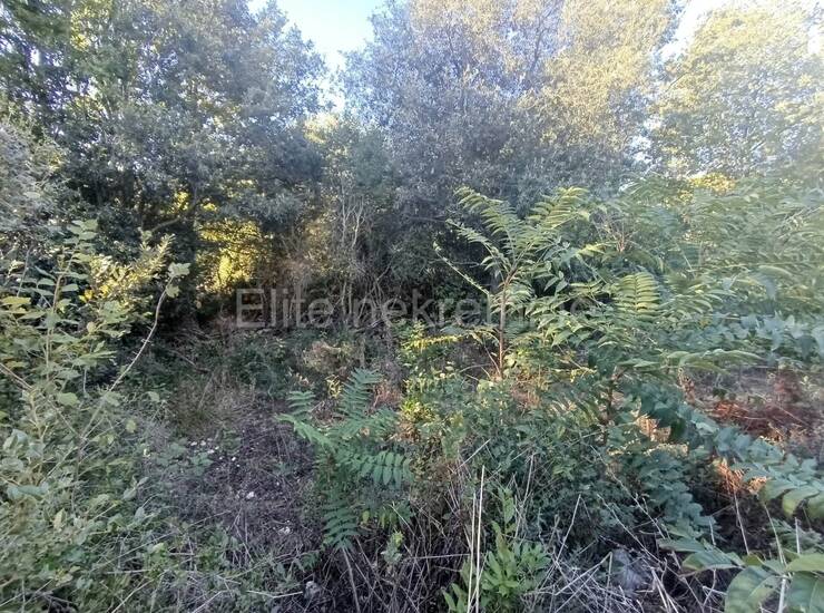 ISTRA, MEDULIN - PRODAJA ZEMLJIŠTA, BLIZINA MORA, T2 NAMJENA — fotografija 3