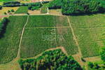 PRILIKA! 105.333 m2 VINOGRADA, 4.75 EUR/m2!