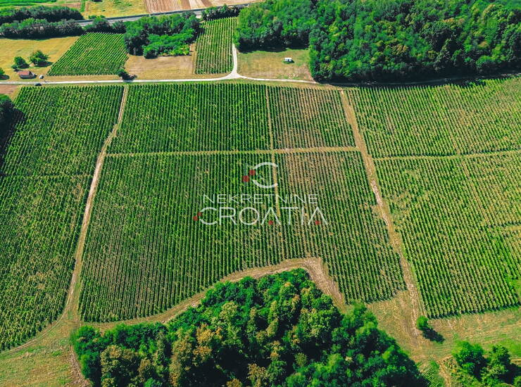 PRILIKA! 105.333 m2 VINOGRADA, 4.75 EUR/m2!