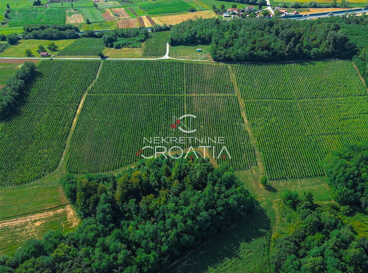PRILIKA! 105.333 m2 VINOGRADA, 4.75 EUR/m2! — fotografija 4
