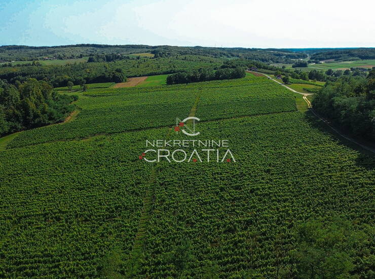 PRILIKA! 105.333 m2 VINOGRADA, 4.75 EUR/m2! — fotografija 5