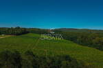 PRILIKA! 105.333 m2 VINOGRADA, 4.75 EUR/m2! — fotografija 6