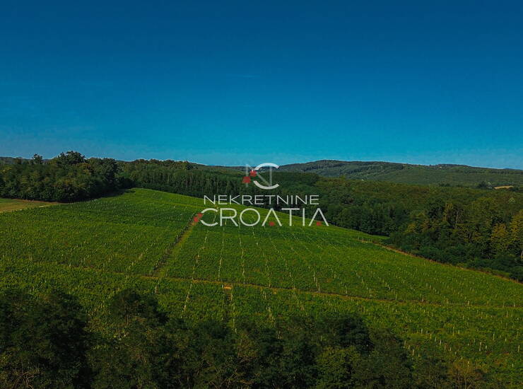 PRILIKA! 105.333 m2 VINOGRADA, 4.75 EUR/m2! — fotografija 6