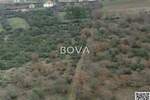 Poljoprivredno zemljište 1823 m2 – Briševo *Oranica* (ID-2546/E)
