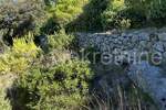 Rogoznica, Zatoglav, poljoprivredno zemljište, prodaja — fotografija 3