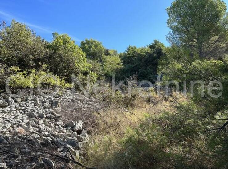 Rogoznica, Zatoglav, poljoprivredno zemljište, prodaja — fotografija 5