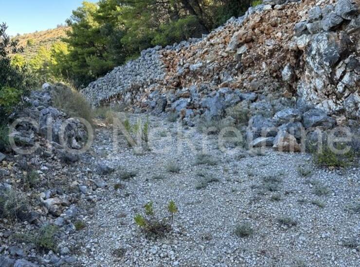Rogoznica, Zatoglav, poljoprivredno zemljište, prodaja — fotografija 9