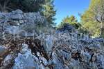 Rogoznica, Zatoglav, poljoprivredno zemljište, prodaja — fotografija 10