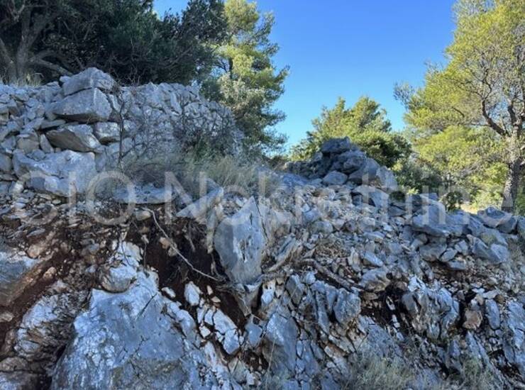 Rogoznica, Zatoglav, poljoprivredno zemljište, prodaja — fotografija 10