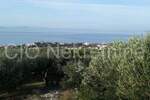 Podstrana, poljoprivredno zemljište, prodaja