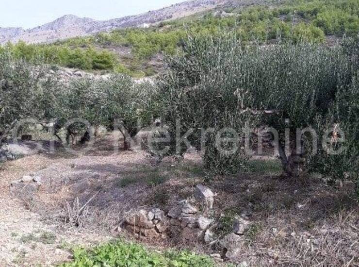 Podstrana, poljoprivredno zemljište, prodaja — fotografija 4
