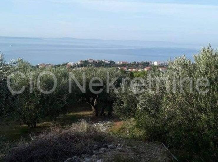 Podstrana, poljoprivredno zemljište, prodaja — fotografija 5
