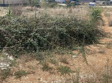 Zemljiste, Loborika - 90.000 € | SveHrNekretnine