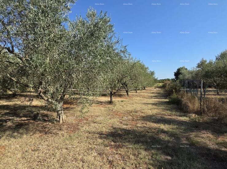 Na prodaju je građevinska parcela pravilnog, gotovo pravokutnog oblika, po... — fotografija 2